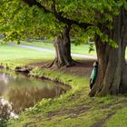 Die Joggerin am Baum