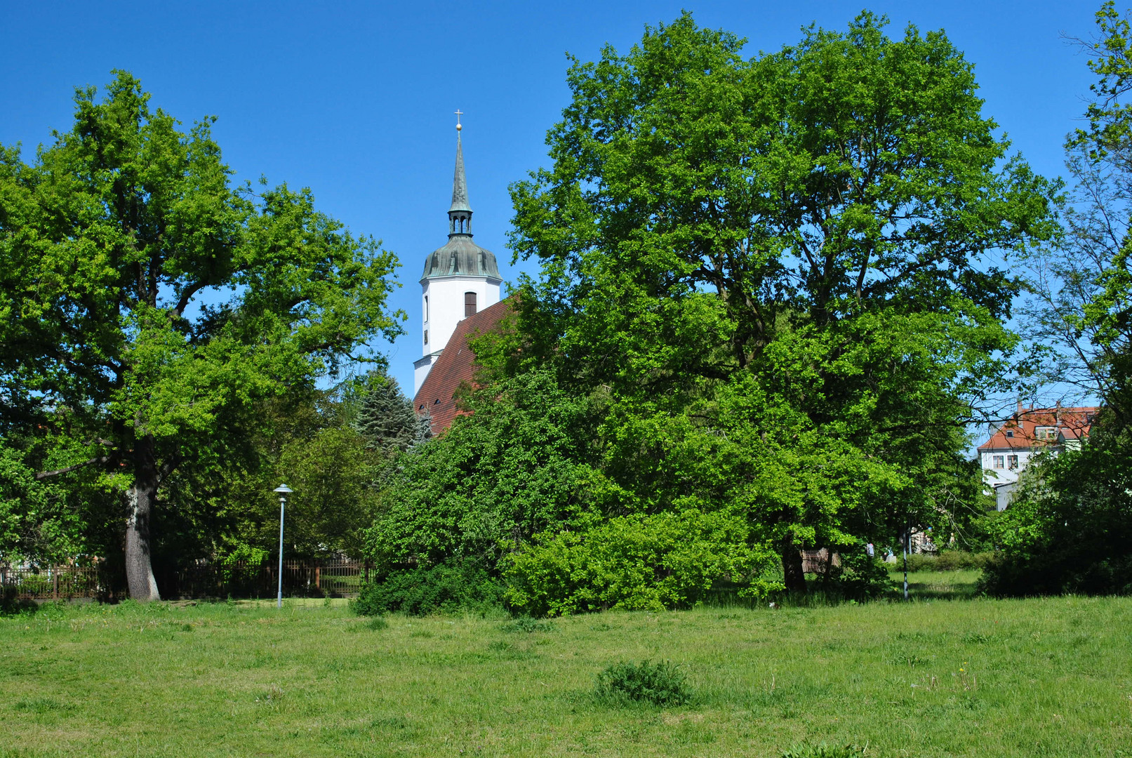 Die Johanneskirche versteckt sich hinter Bäumen.