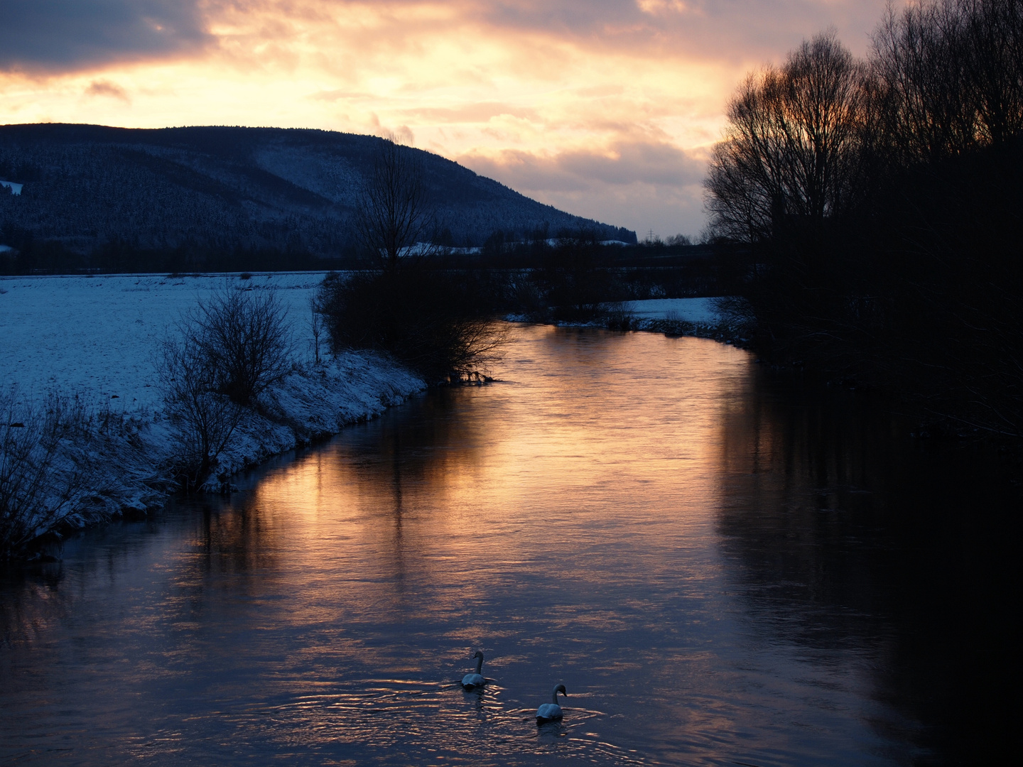 Die junge Donau 2