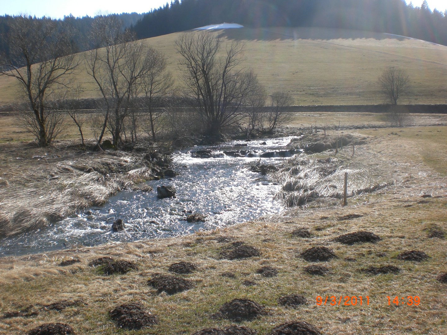 Die Junge Donau bei Furtwangen