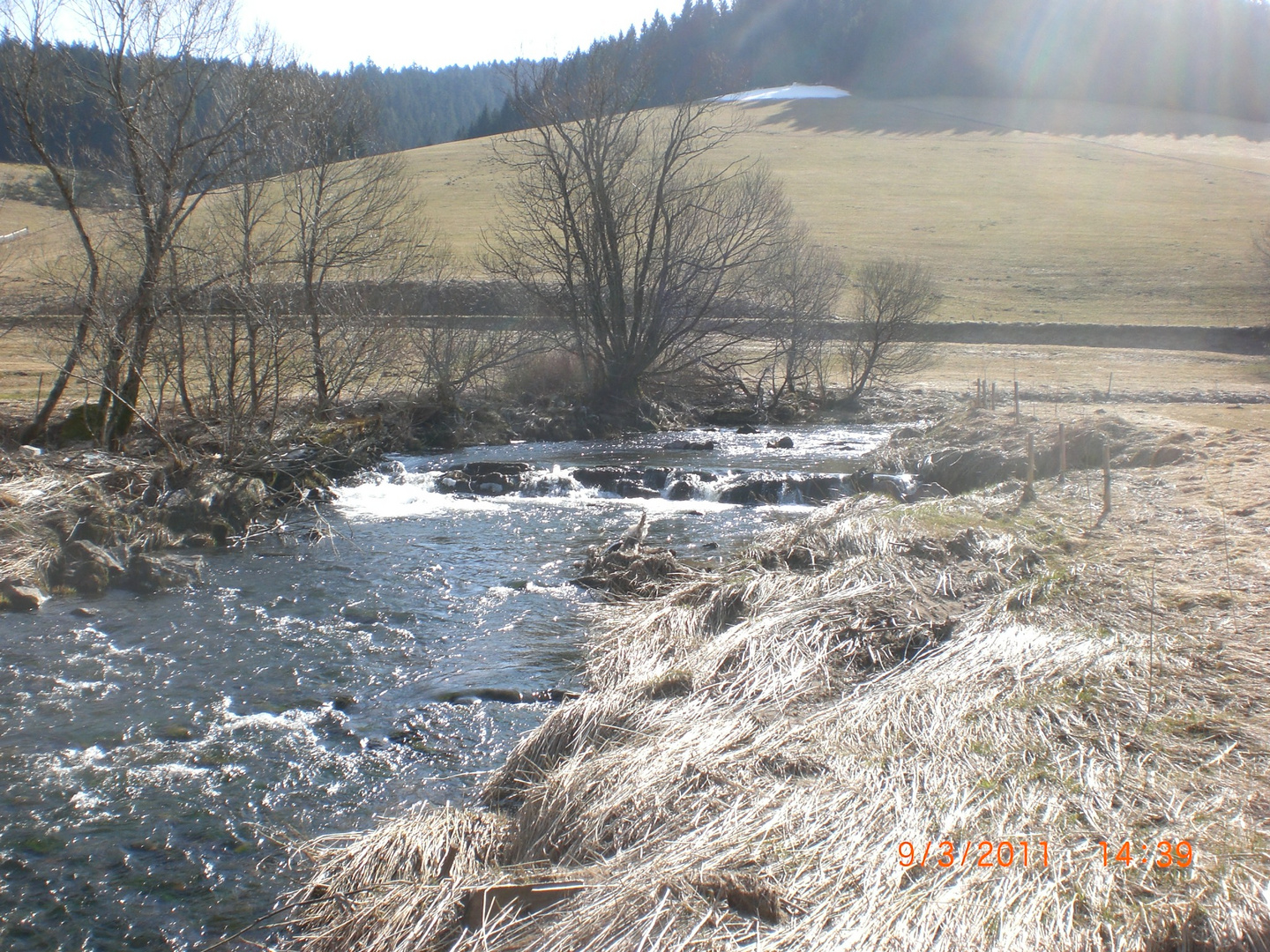 Die junge Donau bei Furtwangen