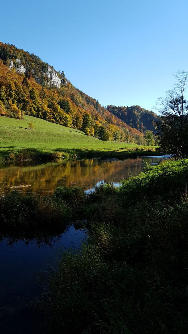 Die junge Donau