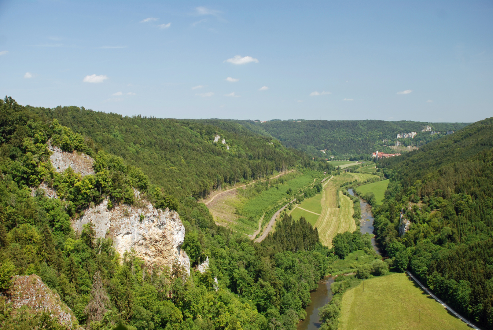 Die junge Donau