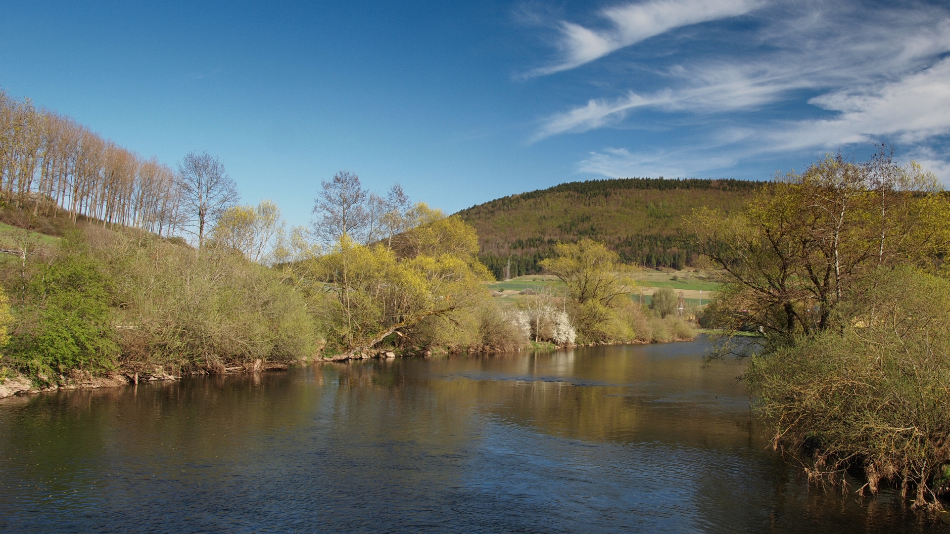 Die junge Donau im Frühling