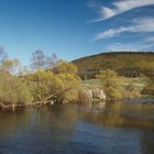 Die junge Donau im Frühling