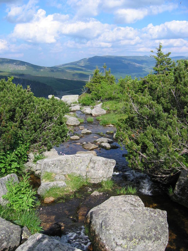 Die junge Elbe im Riesengebirge