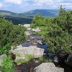 Die junge Elbe im Riesengebirge