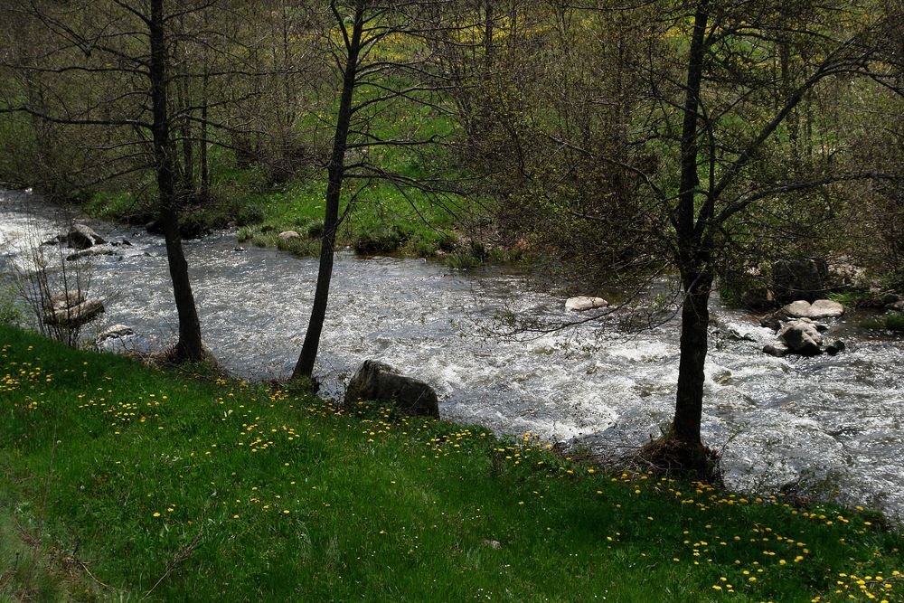 die junge Loire, - ( II.)