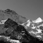 Die Jungfrau