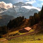 Die JUNGFRAU im Berner Oberland