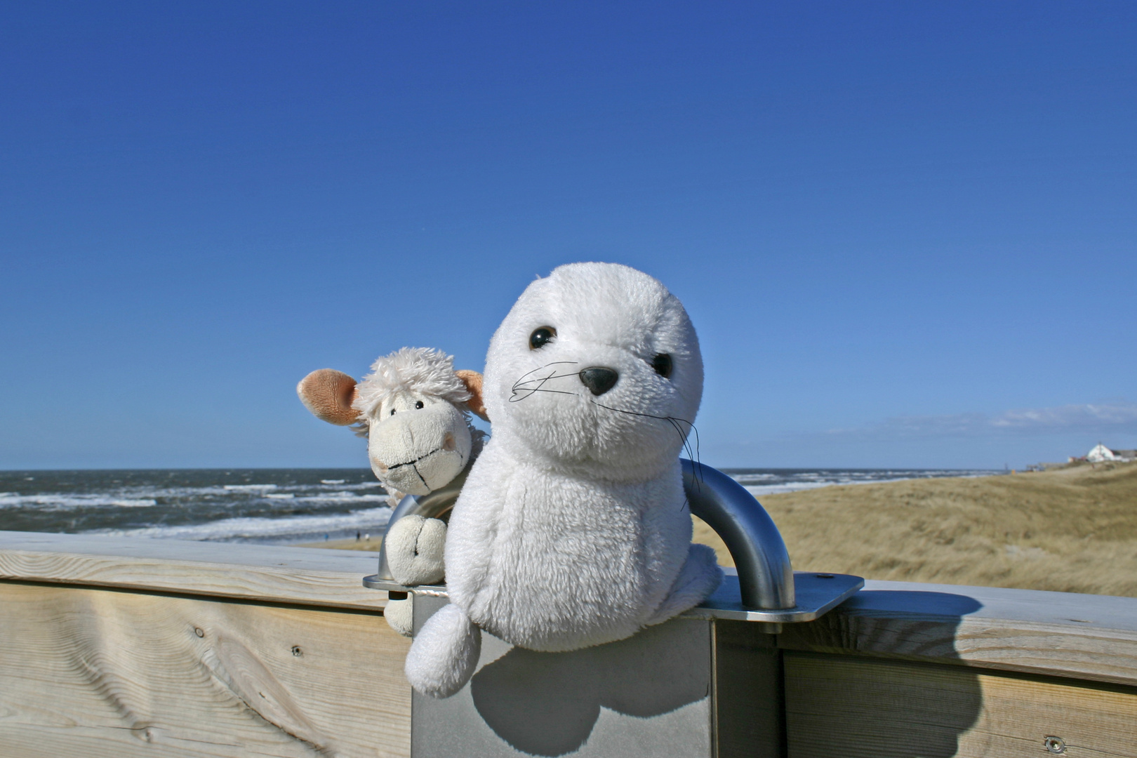 Die Jungs auf SYLT