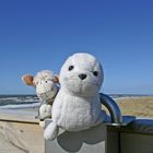 Die Jungs auf SYLT