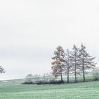 die Kälte greift zu 