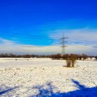 Die Kämpen im Schnee