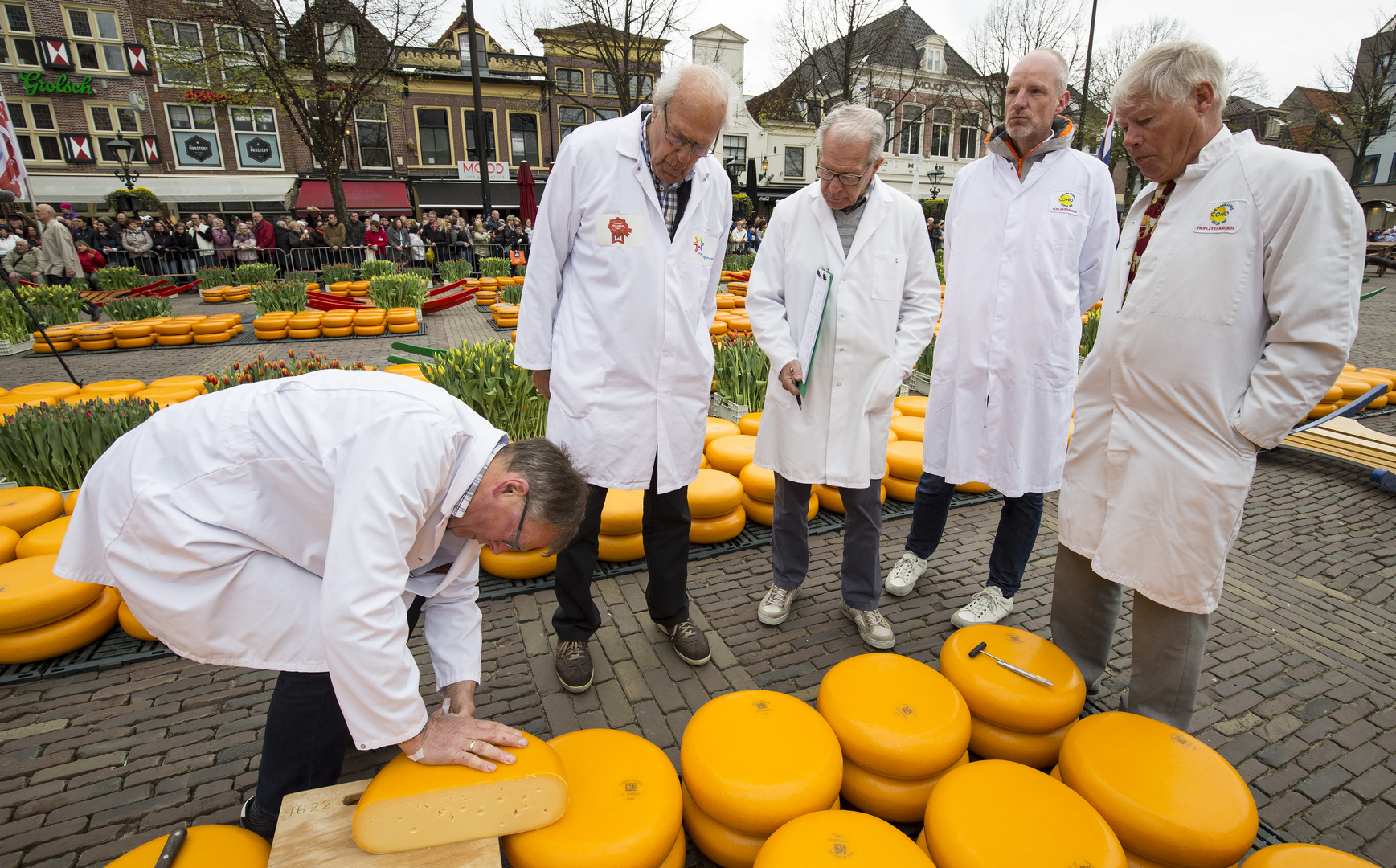 Die Käsebegutachter in Alkmaar