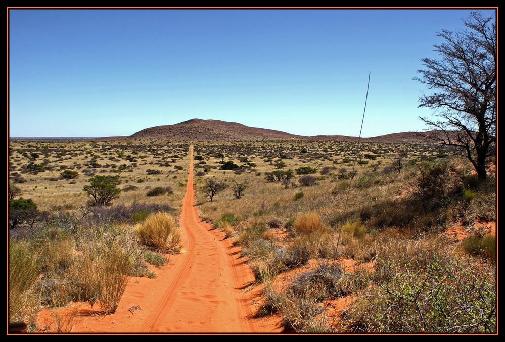 Die Kalahari Foto & Bild | africa, southern africa, south africa Bilder ...