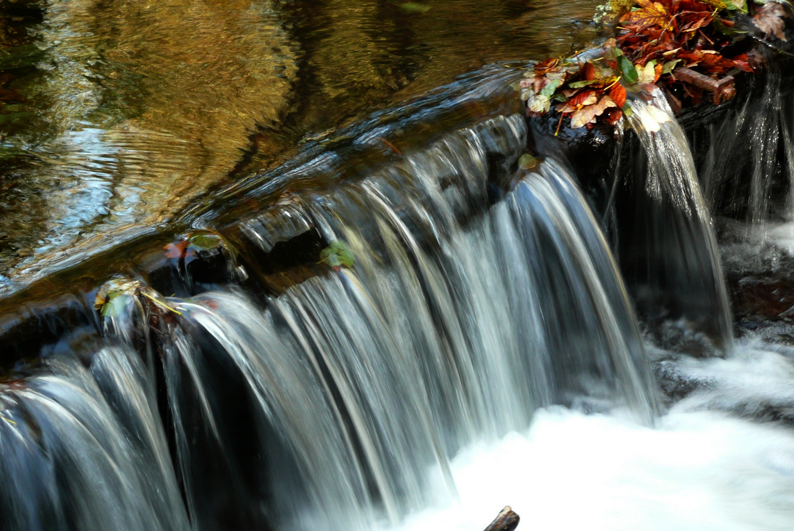 Die Kalte Bode im Harz