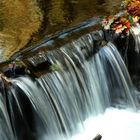 Die Kalte Bode im Harz