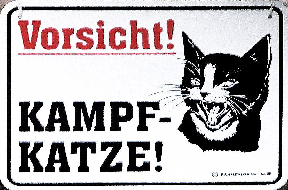 Die Kampfkatze ....