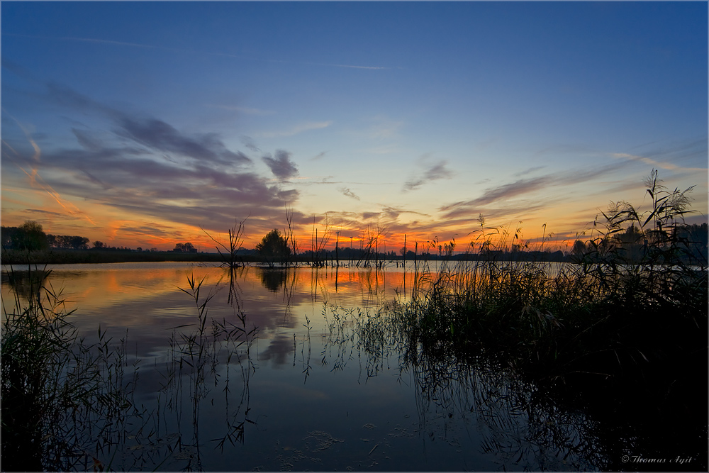 Die Kamplake in Unseburg... Teil 55 kurz vor`m Frühling