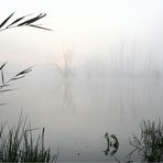 Die Kamplake in Unseburg... Teil18 nebulös