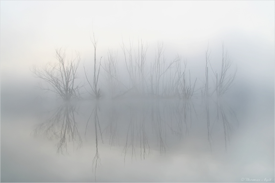 Die Kamplake in Unseburg... Teil2 im Nebel