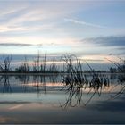 Die Kamplake in Unseburg... Teil25 Bodennebel