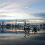 Die Kamplake in Unseburg... Teil25 Bodennebel