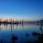 Die Kamplake in Unseburg... Teil26 Bodennebel #2