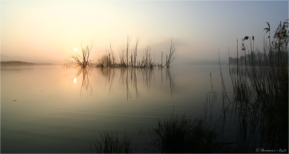 Die Kamplake in Unseburg... Teil32 Morgennebel