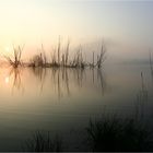 Die Kamplake in Unseburg... Teil32 Morgennebel