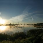 Die Kamplake in Unseburg... Teil41 zugewachsen