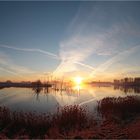 Die Kamplake in Unseburg... Teil46 Frühling im Februar