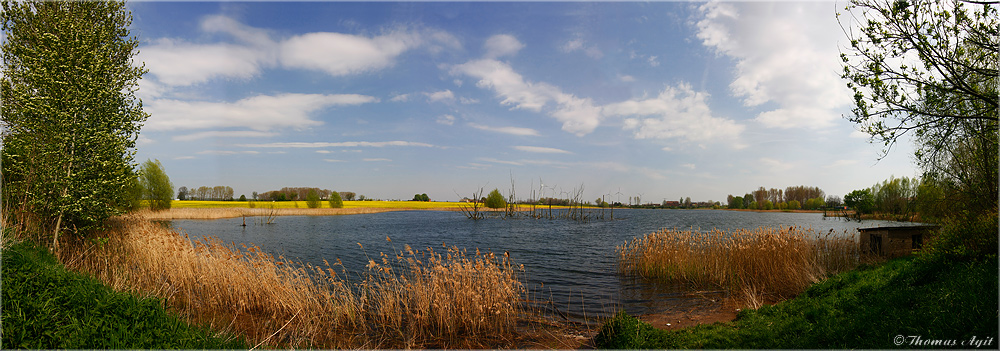 Die Kamplake in Unseburg... Teil47 endlich Frühling Ende April