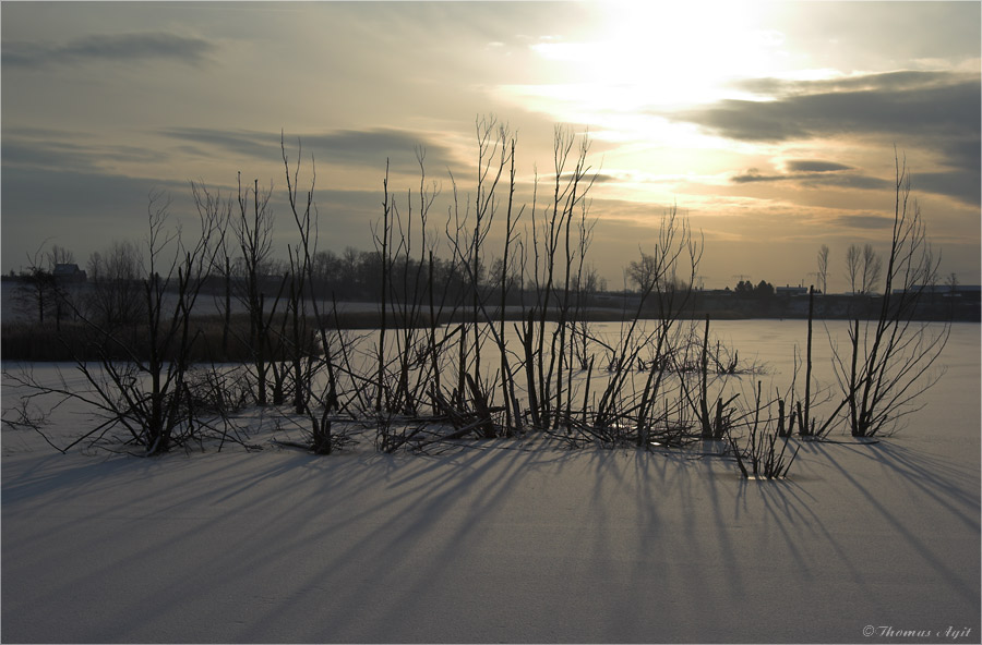 Die Kamplake in Unseburg... Teil7 lange Schatten auf Schnee