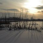 Die Kamplake in Unseburg... Teil7 lange Schatten auf Schnee