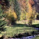 Die Kander im Kandertal zwischen Malsburg und Marzell