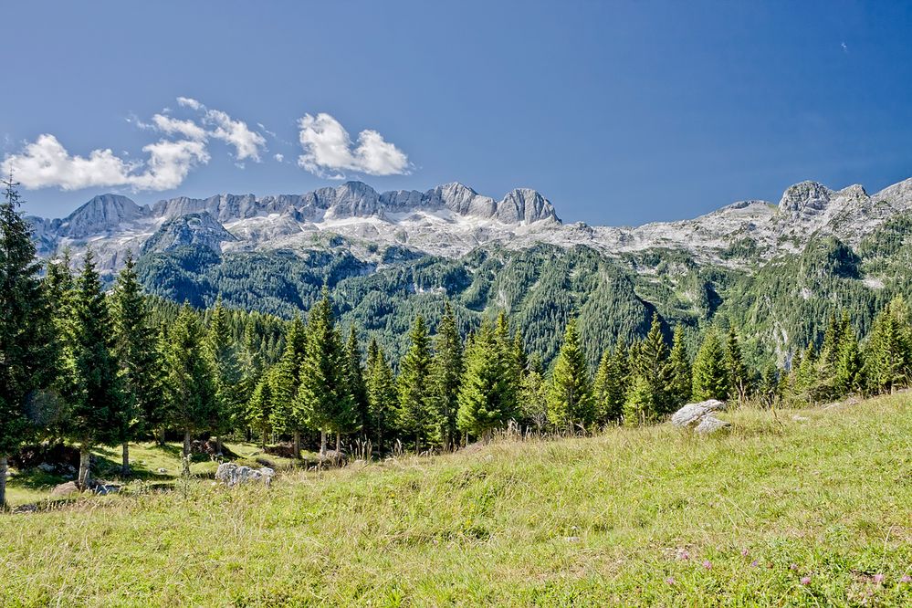 Die Kanin - Gruppe