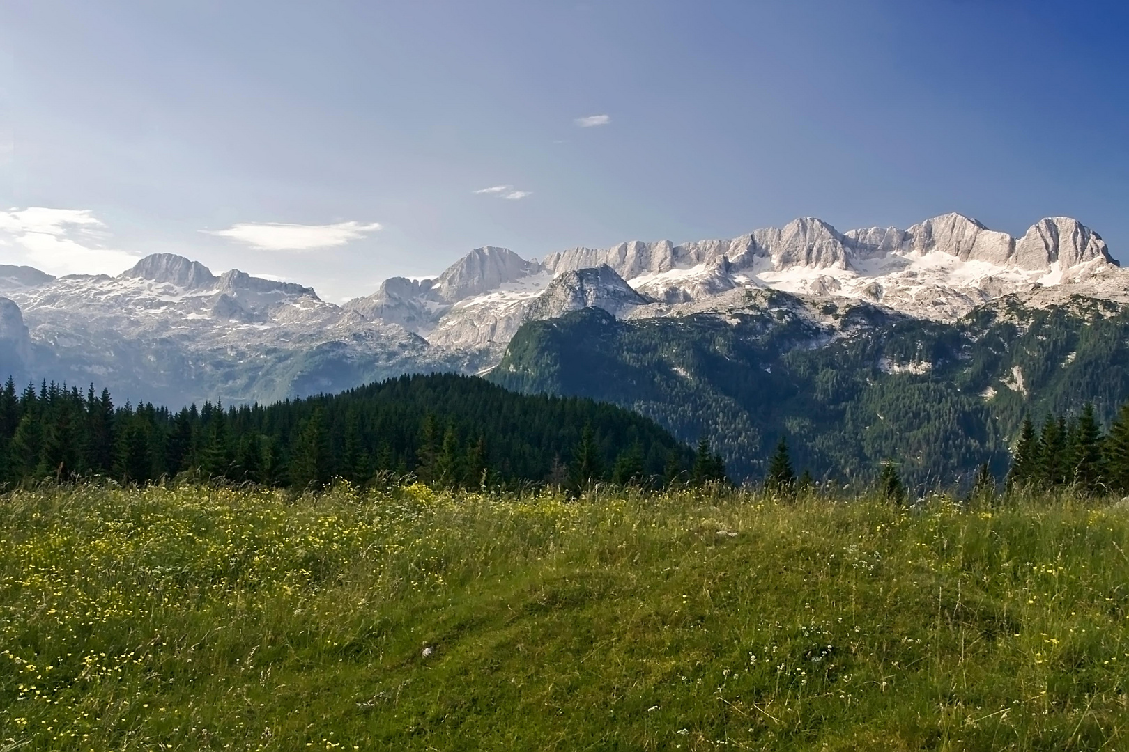 Die Kanin - Gruppe