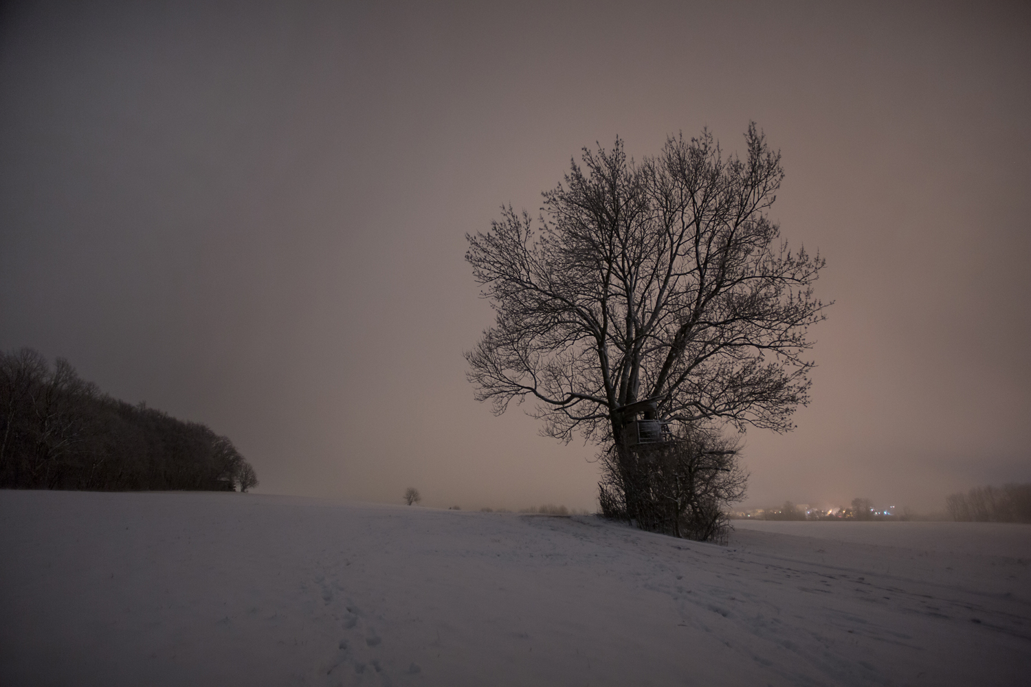 Die Kanzel im Baum