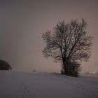 Die Kanzel im Baum