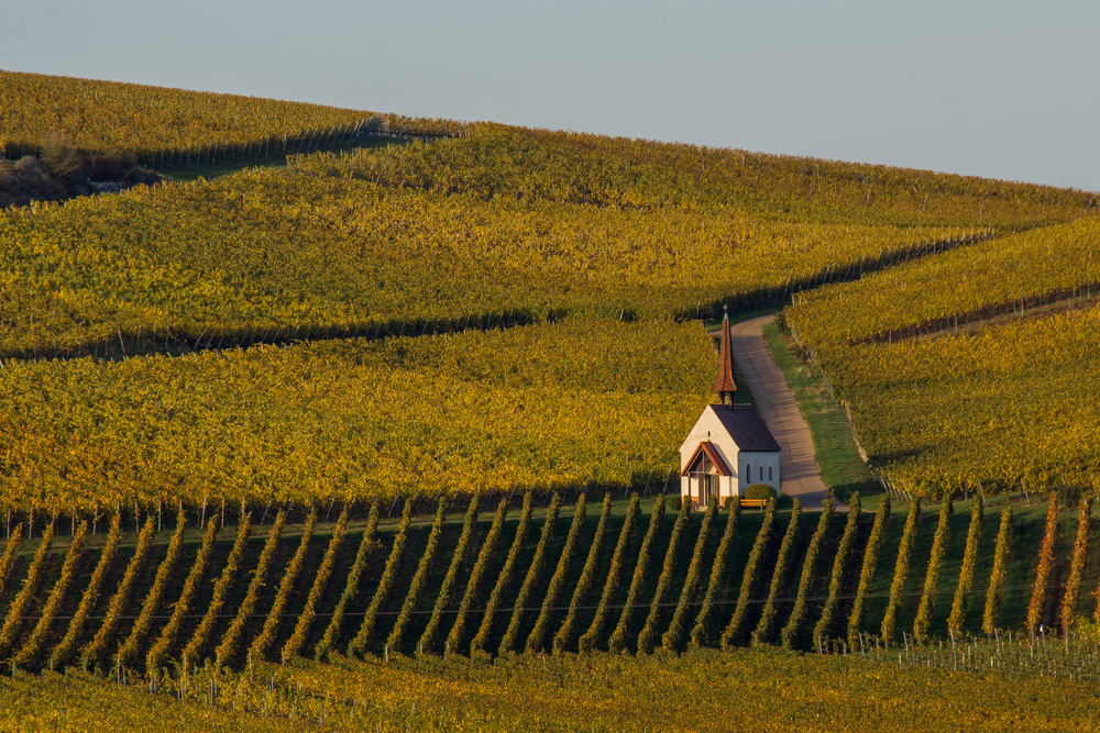 Die Kapelle in den Weinbergen