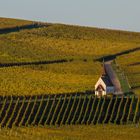 Die Kapelle in den Weinbergen