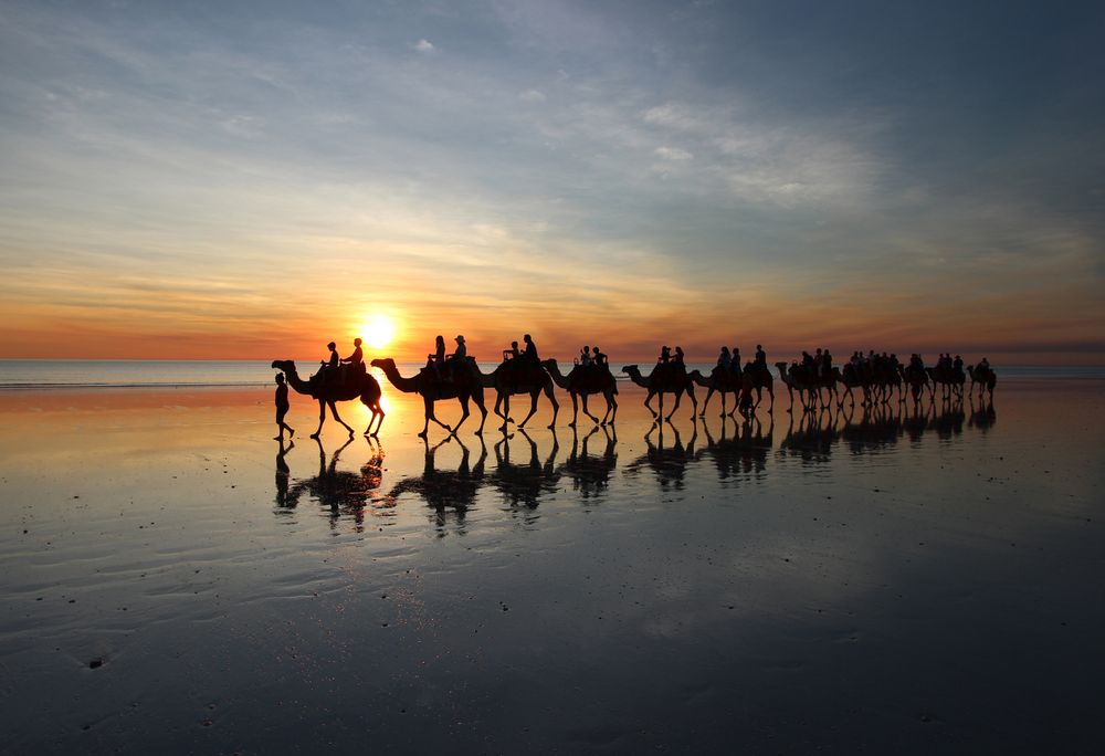 Die Karawane zieht weiter! Foto &