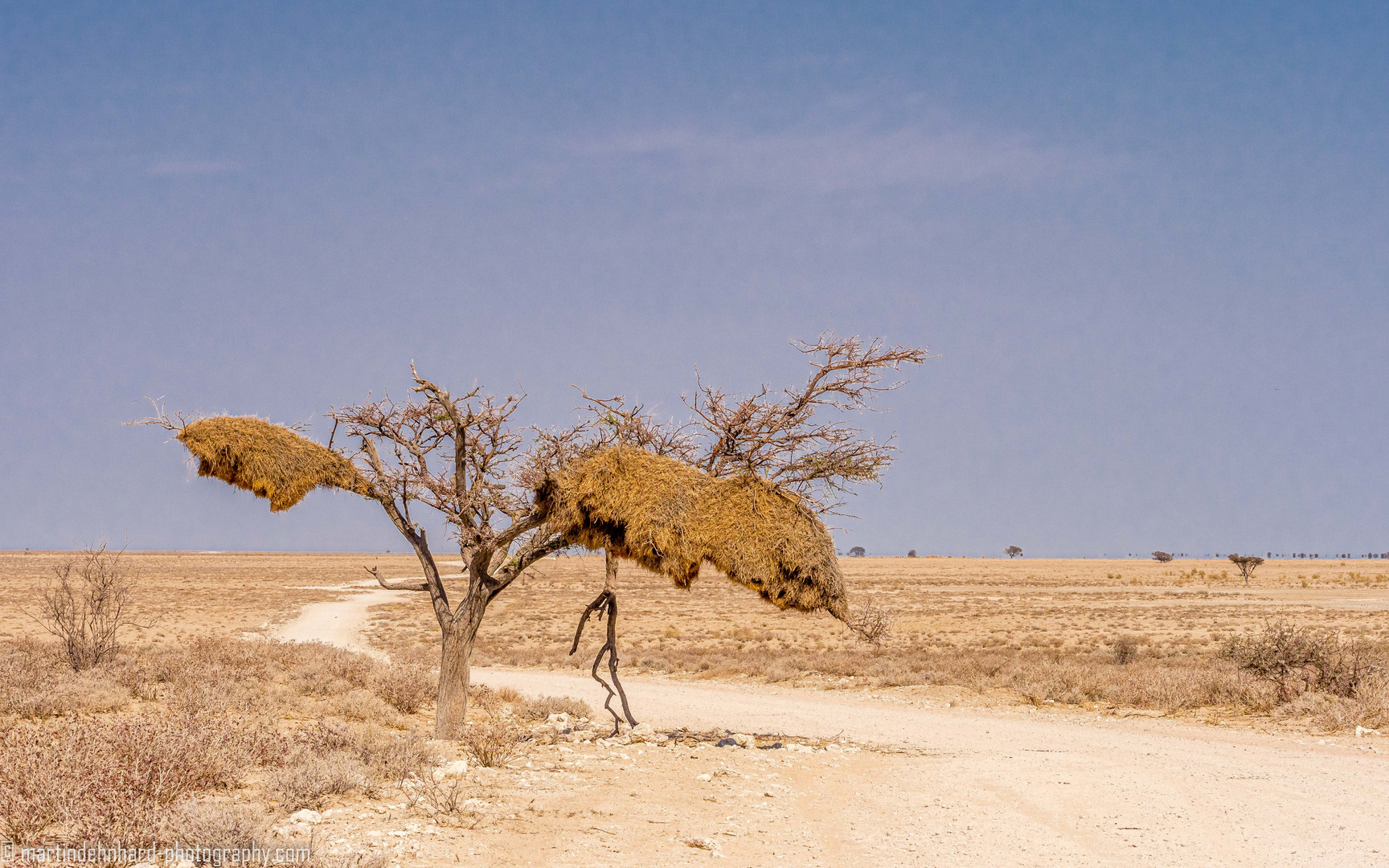 Die Kargheit der Landschaft