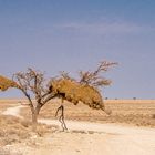 Die Kargheit der Landschaft