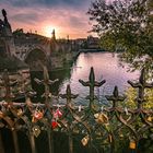 die Karlsbrücke in Prag