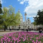 Die Karlskirche zur Tulpenzeit