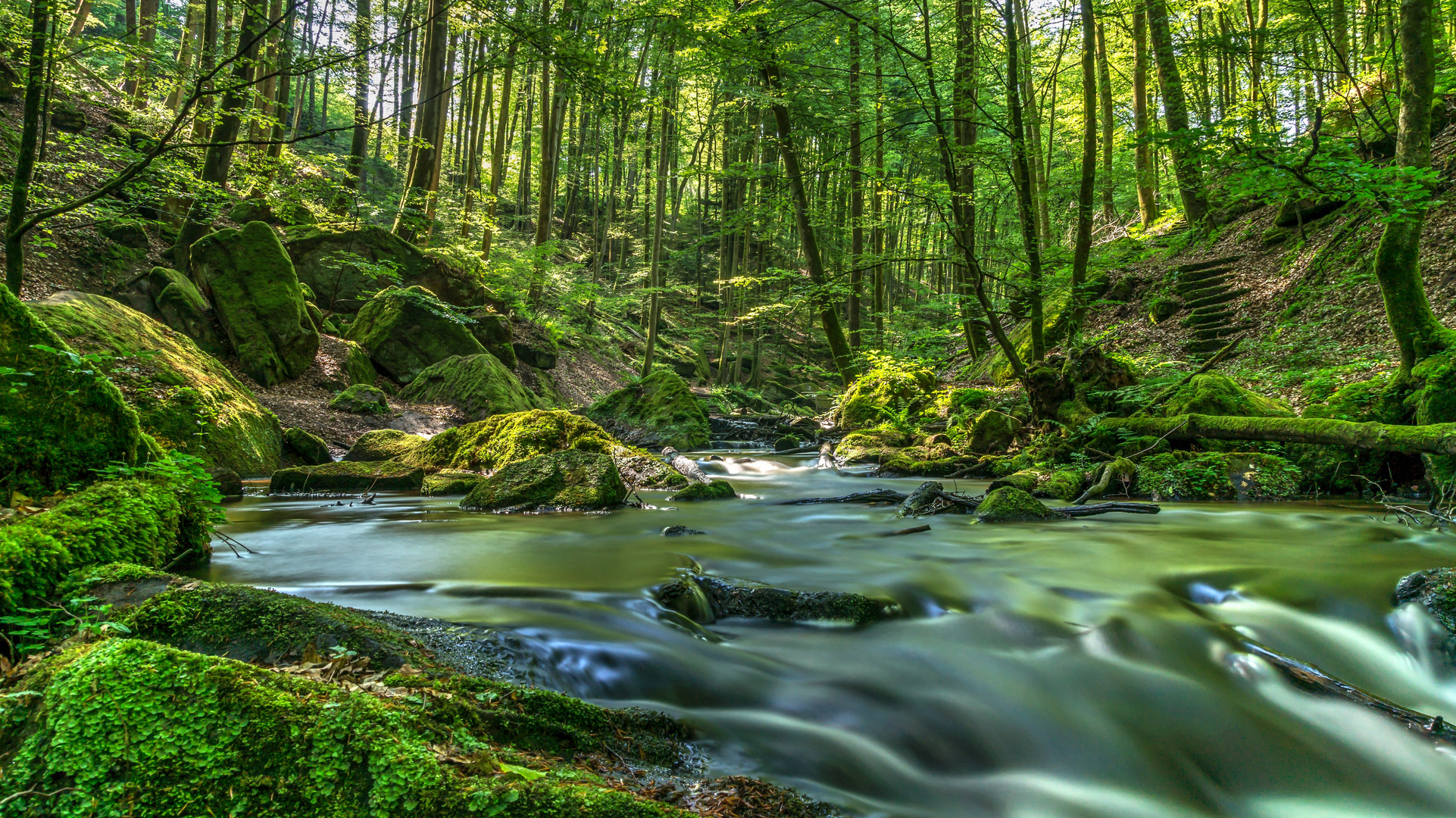 Die Karlstalschlucht bei Trippstadt