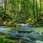 Die Karlstalschlucht bei Trippstadt